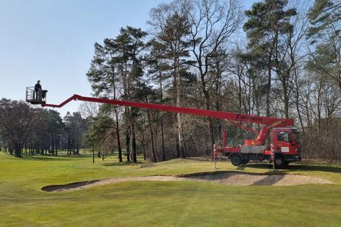 Baumpflege in Bildern – Zimmern Garten- und Landschaftsbau GmbH