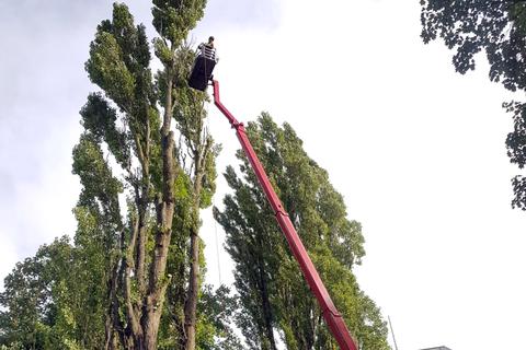 Gartenneubau in Bildern – Zimmern Garten- und Landschaftsbau GmbH