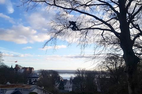 Baumpflege – Zimmern Garten und Landschaftsbau GmbH