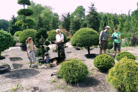 Baumschule – Zimmern Garten und Landschaftsbau GmbH