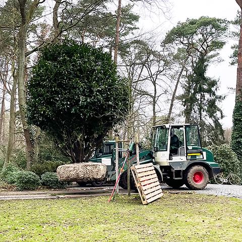 Zimmern Garten- und Landschaftsbau GmbH
