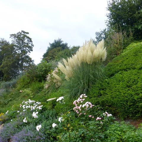 Zimmern Garten- und Landschaftsbau GmbH