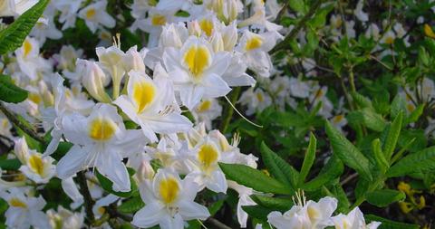 Impressionen – Zimmern Garten- und Landschaftsbau GmbH