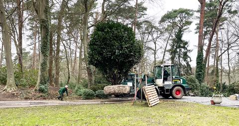 Impressionen – Zimmern Garten- und Landschaftsbau GmbH